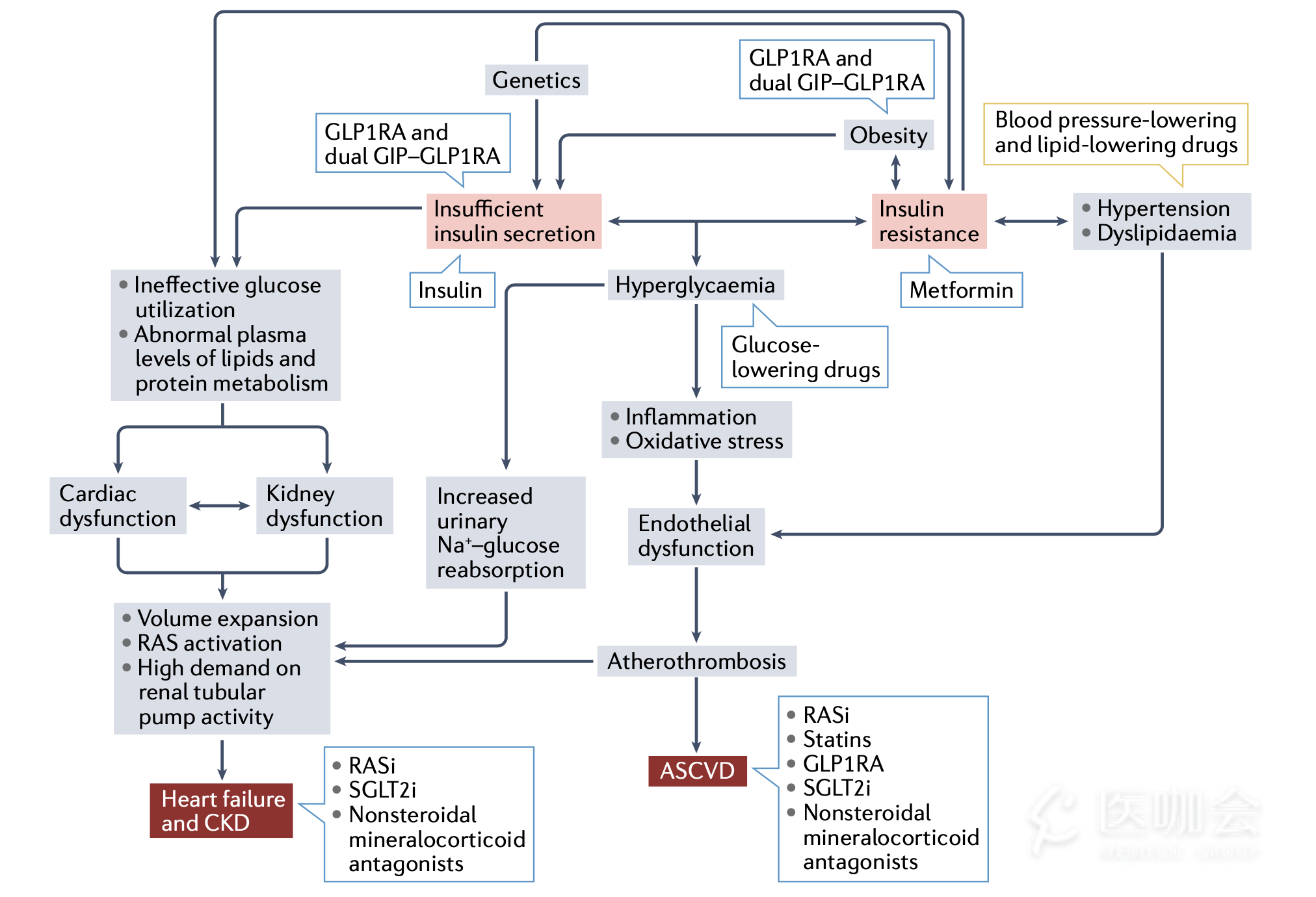 高分综述』2型糖尿病患者的心肾疾病：研究进展和临床实践- 医咖会
